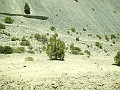 2014 Mt Baldy Cali 177